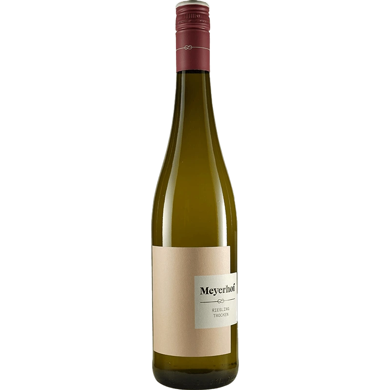 2024 Riesling Bio - Meyerhof